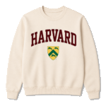 Harvard Pullover Hoodie